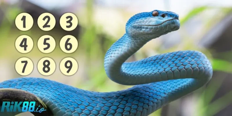 Những con số liên quan khi mơ thấy rắn theo màu sắc